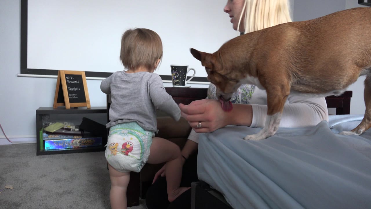 Mother on bed with baby and small brown dog in bedroom.