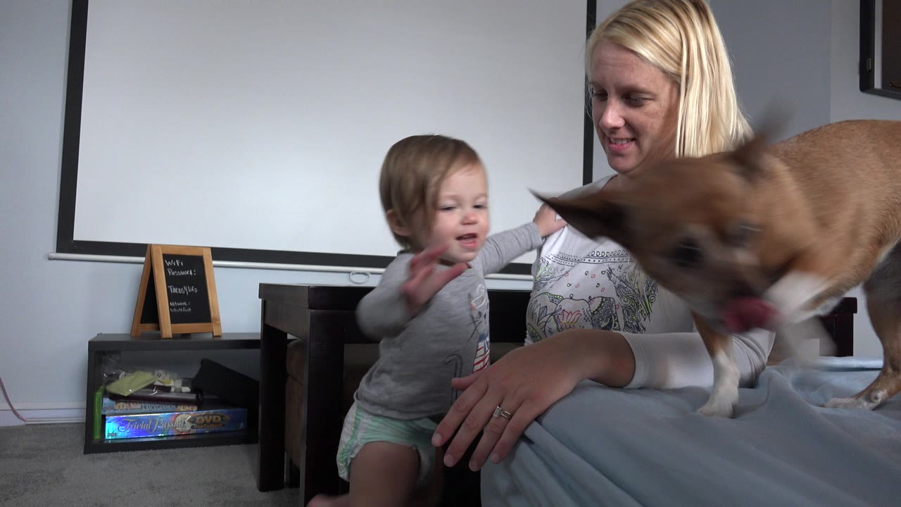 Mother and toddler sit indoors as a brown dog crosses the foreground.