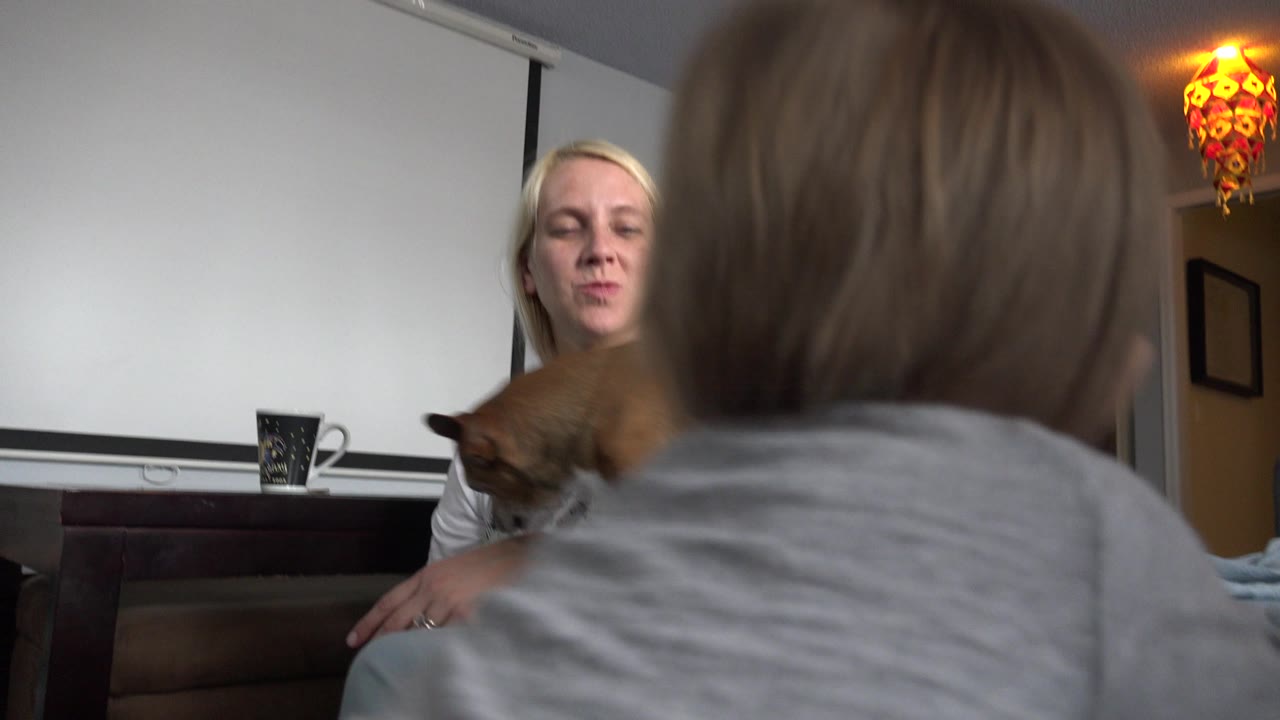In Westminster, Colorado, a toddler's head and shoulders fill the foreground while a blonde woman sits behind a small brown dog on a bed in a bedroom.