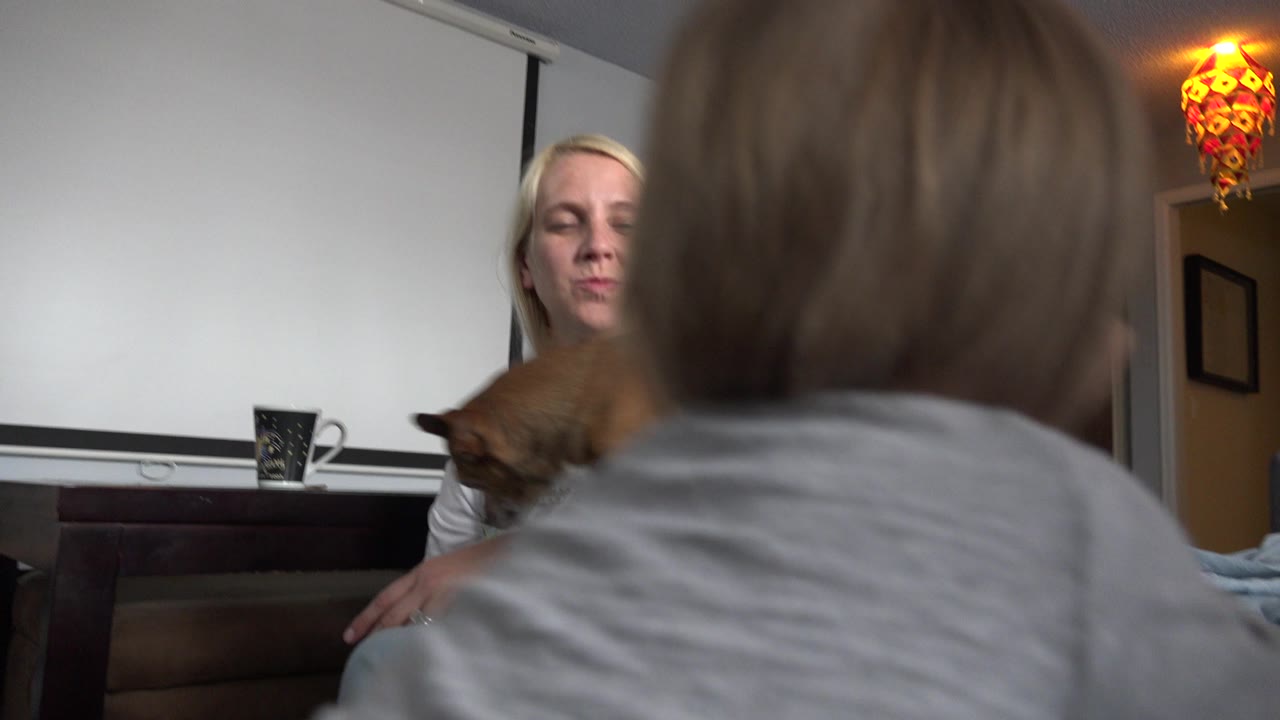 In Westminster, Colorado, the toddler moves closer in the foreground as the small brown dog lowers its head near the seated woman on the bed.