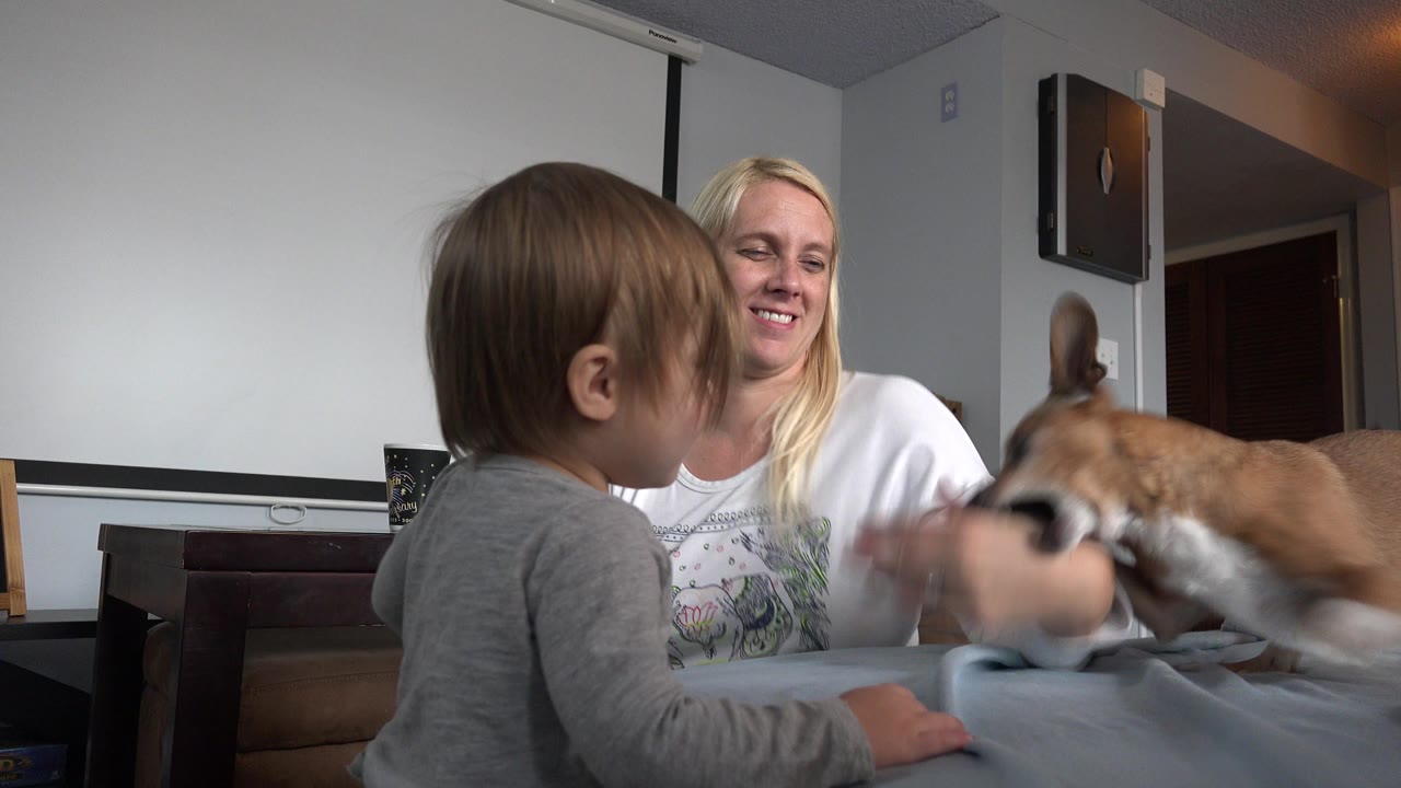 In Westminster, Colorado, a toddler in a gray shirt sits in the foreground while a smiling blonde woman faces them and a small brown dog moves in from the right.