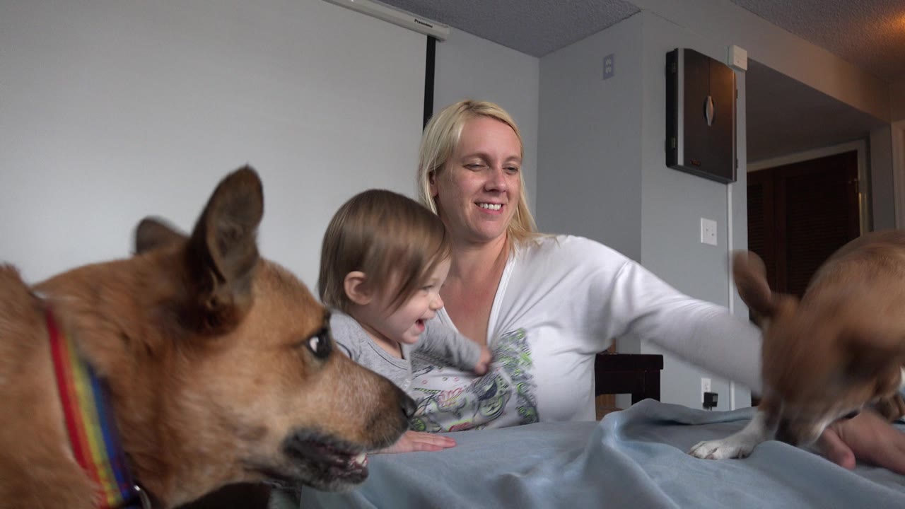 Woman and toddler smiling on a bed with a tan dog in the foreground.