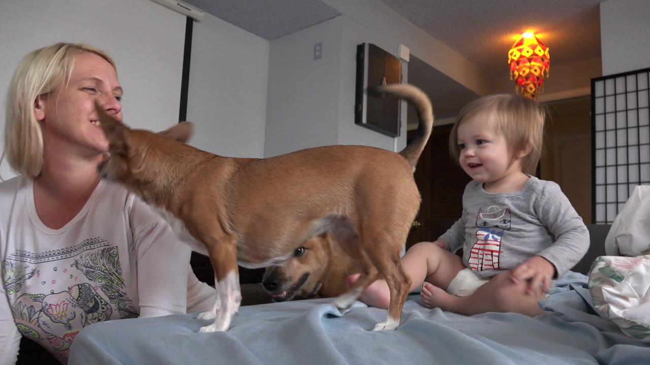 In Westminster, Colorado, a blonde woman smiles beside a toddler while a small tan dog stands across the foreground inside a home interior.