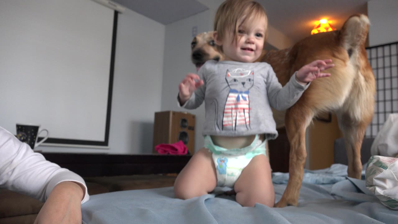 Toddler standing on a mattress near a tan dog with an adult partly visible at the edge.