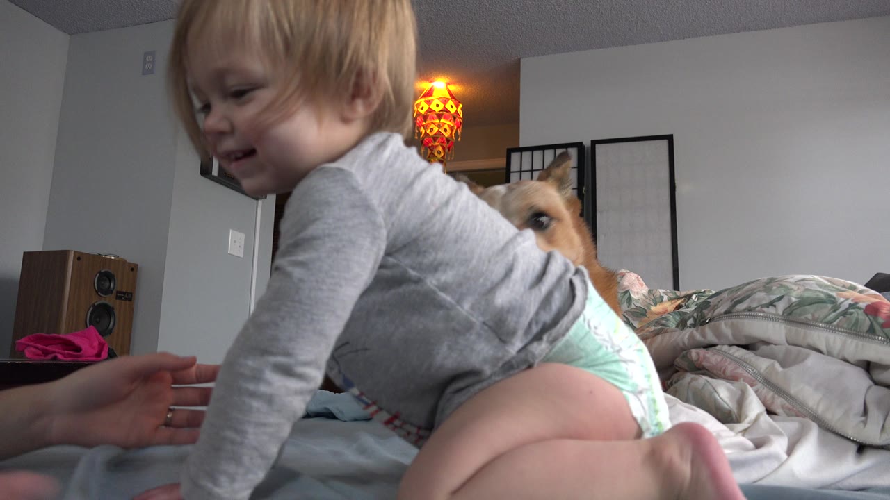 Baby leaning forward on a bed with a dog partly visible behind.