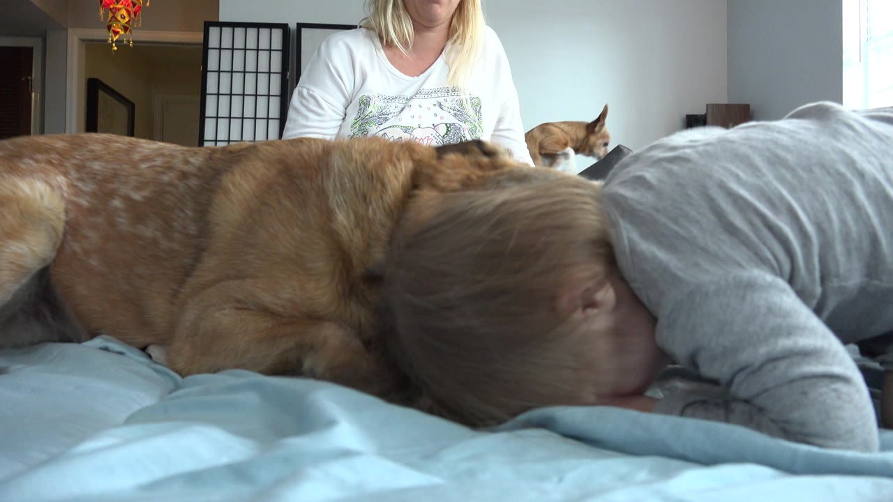 The baby remains low on the bed beside the tan dog, with the seated woman partially framed behind them in the Westminster, Colorado home interior.
