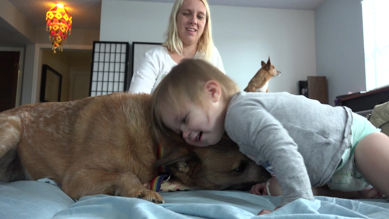 In Westminster, Colorado, a child leans over a tan dog on a bed as a blonde woman sits behind them and a small dog is visible near the window.