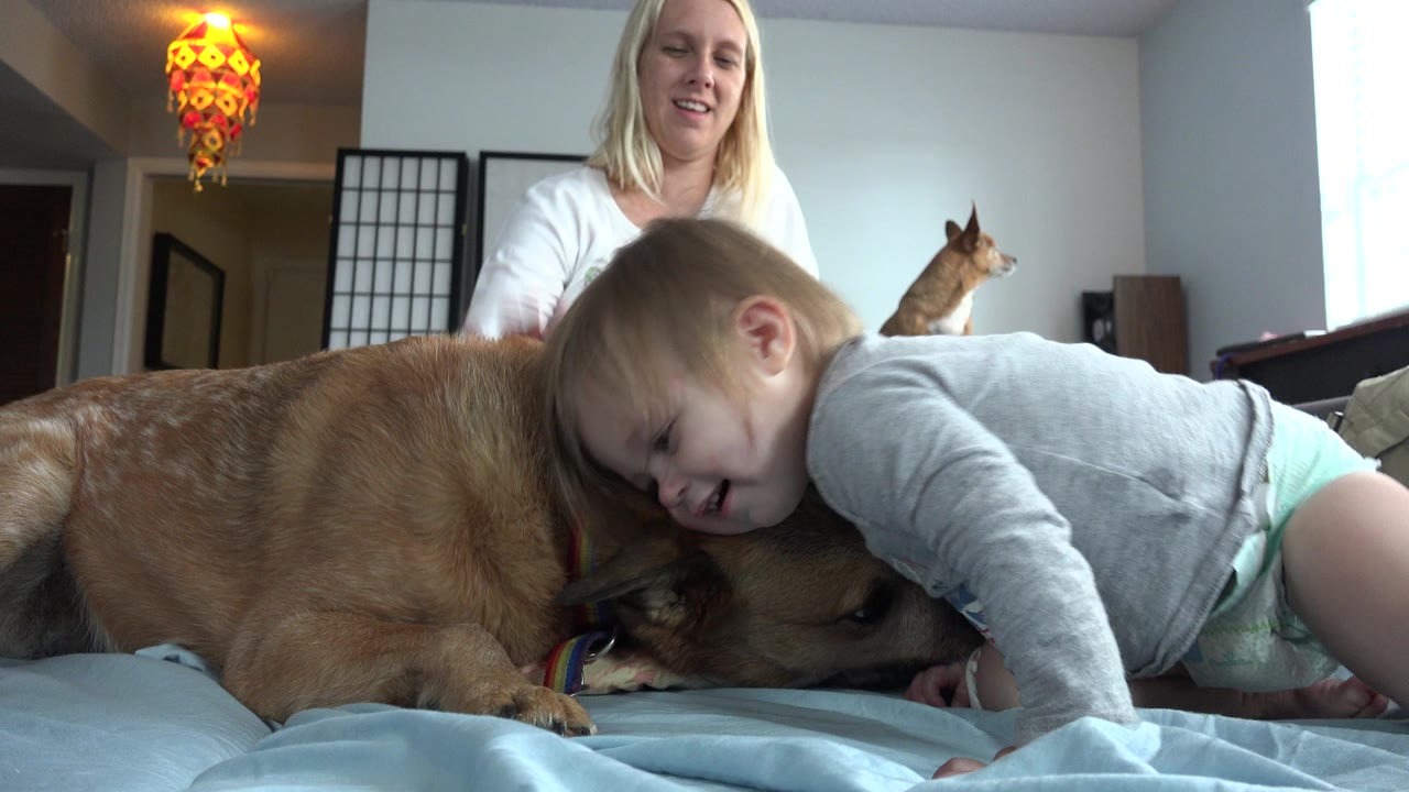 Child smiles while leaning over a tan dog on a bed with a woman behind.