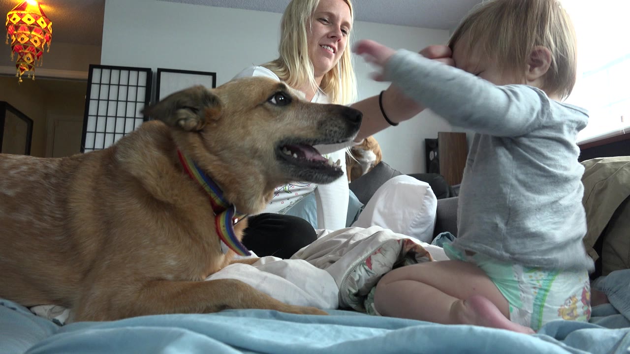 Mother, young child, and tan dog on a bed in a bedroom.
