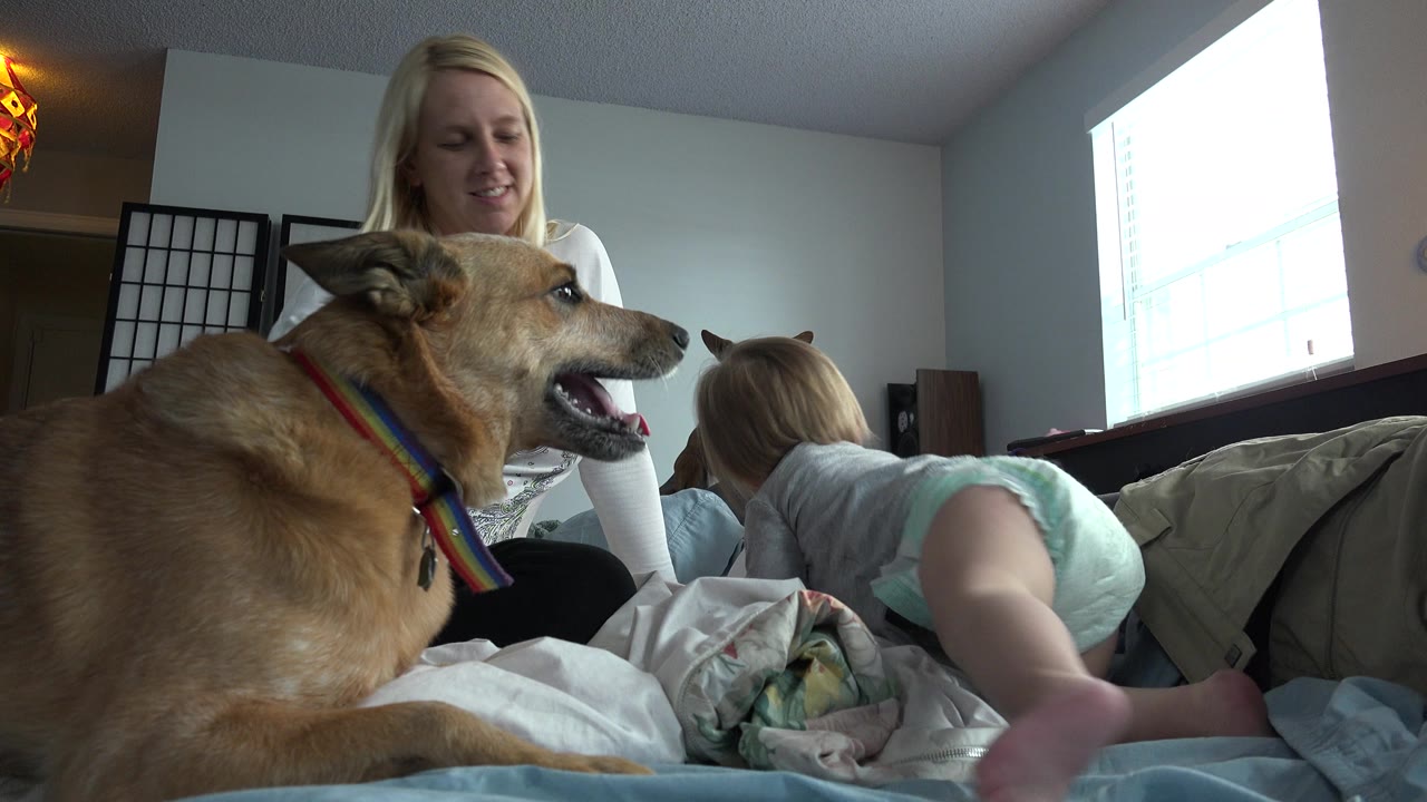 Tan dog on a bed with a woman and young child behind it.
