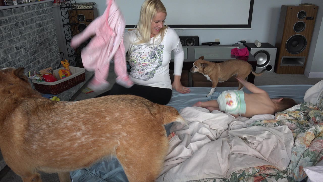 Mother holds pink baby clothing over a baby on a bed with two dogs nearby.