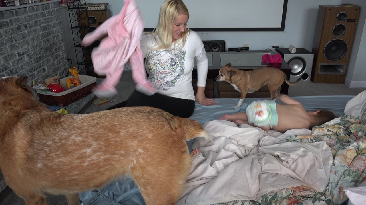 The mother smiles beside the baby on the bed as pink clothing swings above them, with one dog in the foreground and another dog near the back of the room.