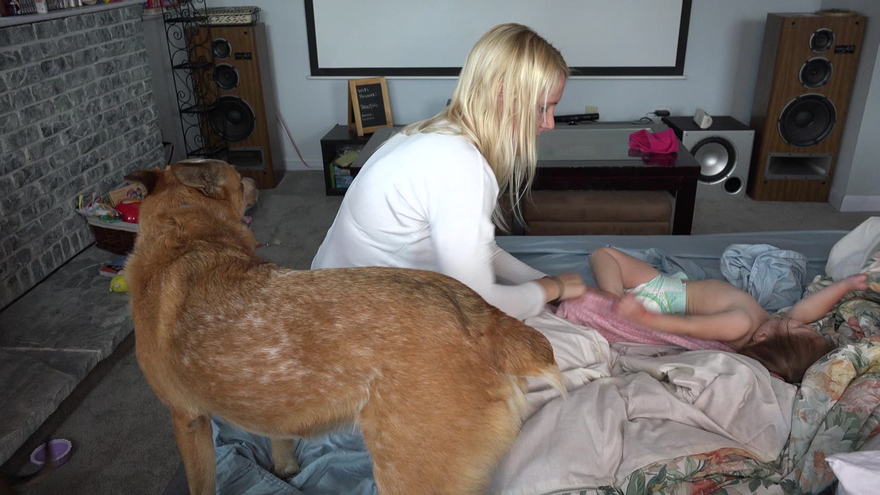 In Westminster, Colorado, a blonde adult bends over a baby on a bed while a large brown dog stands in the foreground near blankets and home audio speakers.