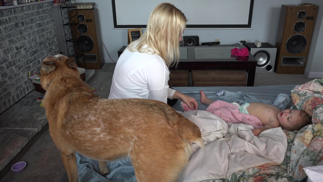 The woman reaches toward the baby on the bed in the Westminster home while the tan dog remains in the foreground near the edge of the bedding.