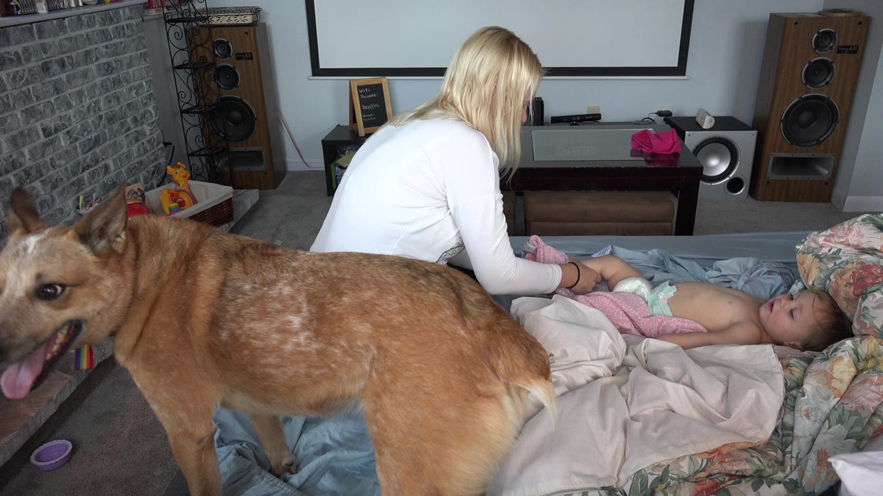 Large brown dog in foreground while a blonde woman changes a baby on a bed.