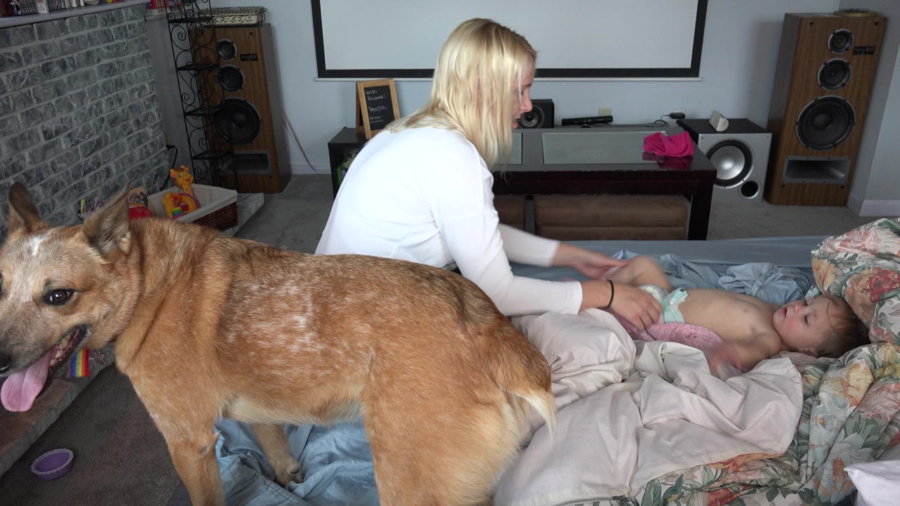 In Westminster, Colorado, the woman bends toward the baby on rumpled bedding while the brown dog blocks much of the lower frame.