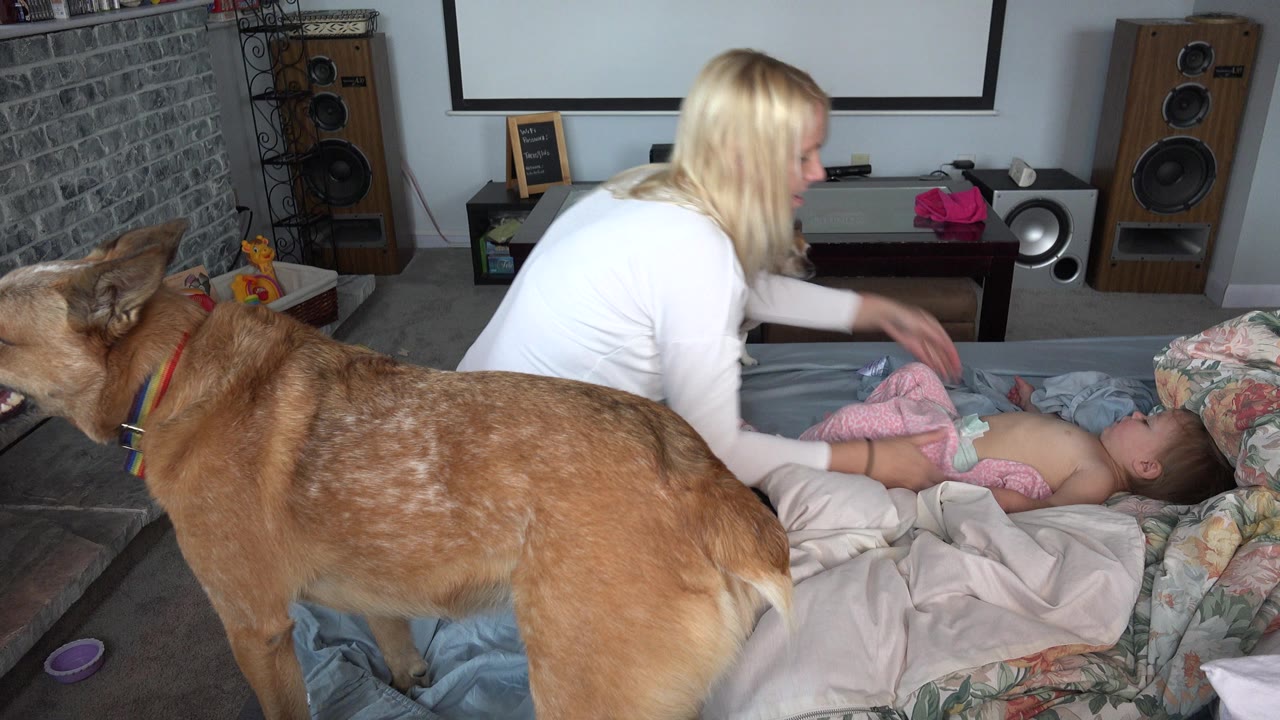 In a Westminster, Colorado bedroom, a blonde mother leans over a baby on a bed while a brown speckled dog fills the foreground near stereo speakers and a projection screen.