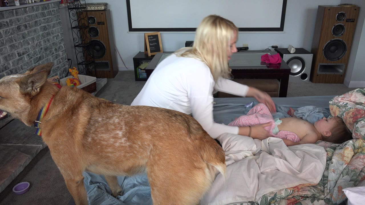 The mother continues dressing the baby on the bed in the Westminster home interior as the large brown dog stands across the lower half of the frame.