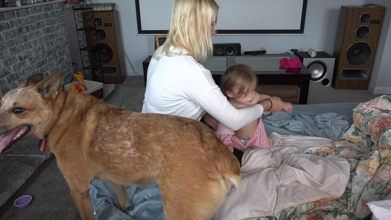 In Westminster, Colorado, a blonde woman helps an infant with pink clothing on floor bedding while a large tan dog stands close to the camera in a home interior.