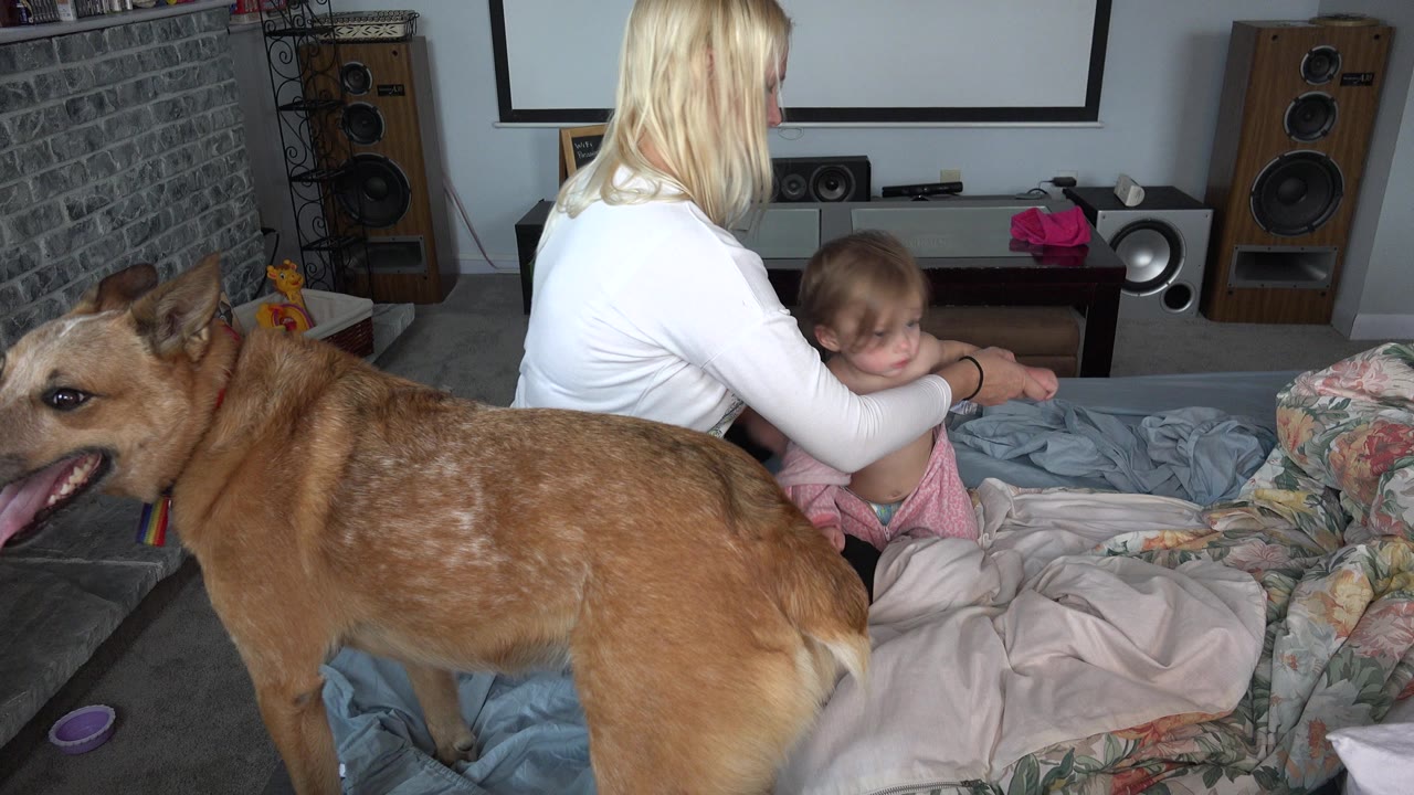 In Westminster, Colorado, the large tan dog remains in the foreground as the woman steadies the infant on blankets in front of speakers and a wall screen.