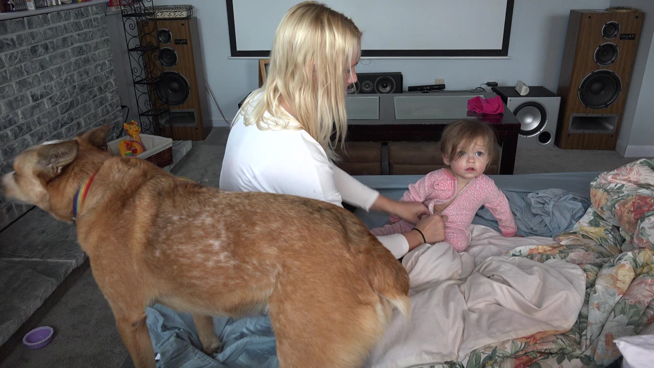Mother on a bed with a baby girl and a large brown dog in the foreground.