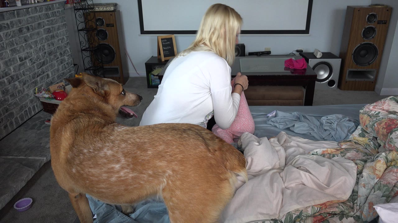 Adult woman sitting on a bed beside a baby and a large brown dog.