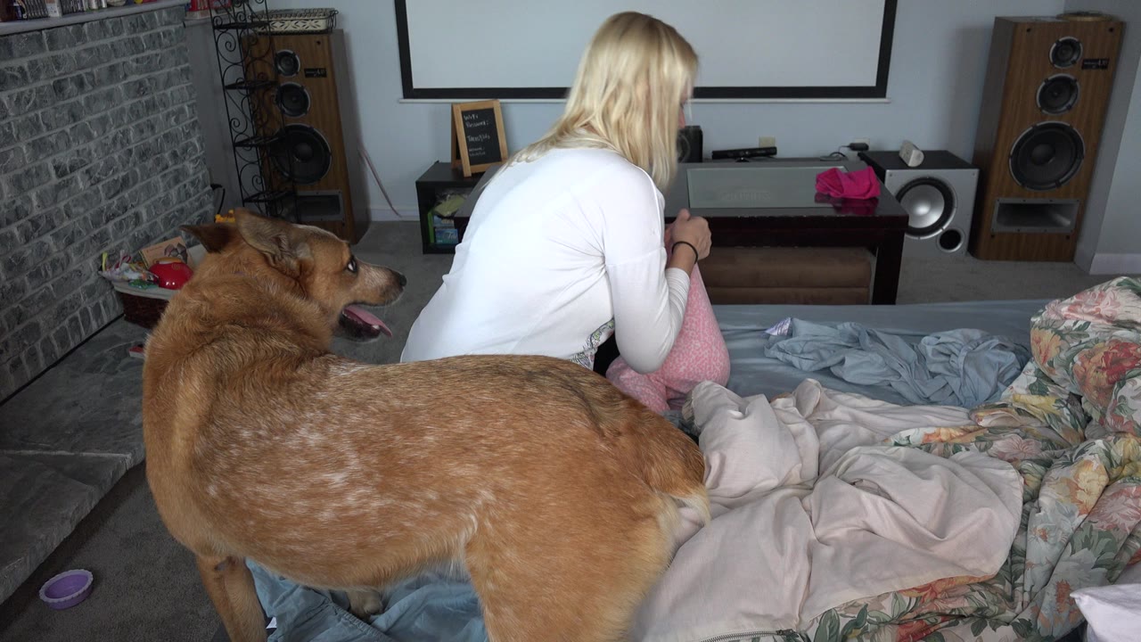 The caregiver remains seated on the bed in Westminster, Colorado, leaning toward the baby as the brown dog stands between the camera and the bedding.