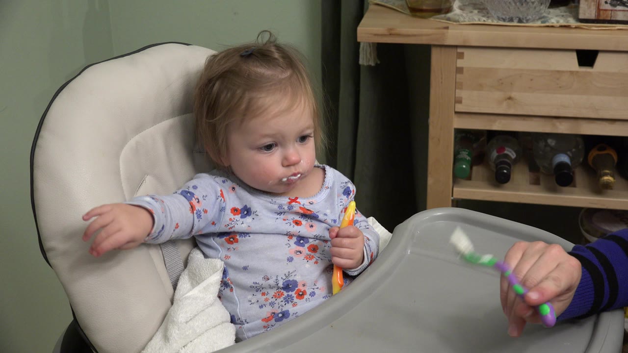 A toddler in a padded high chair in Westminster, Colorado looks toward an adult hand offering a spoon over a gray tray.