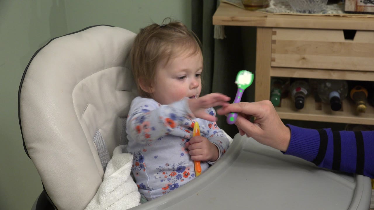 A toddler in a padded booster seat in Westminster, Colorado reaches toward a green spoon held by an adult hand while holding another utensil at the tray.