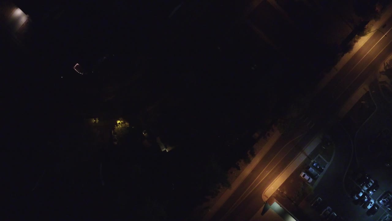 Amber-lit road beside dark trees and parked vehicles