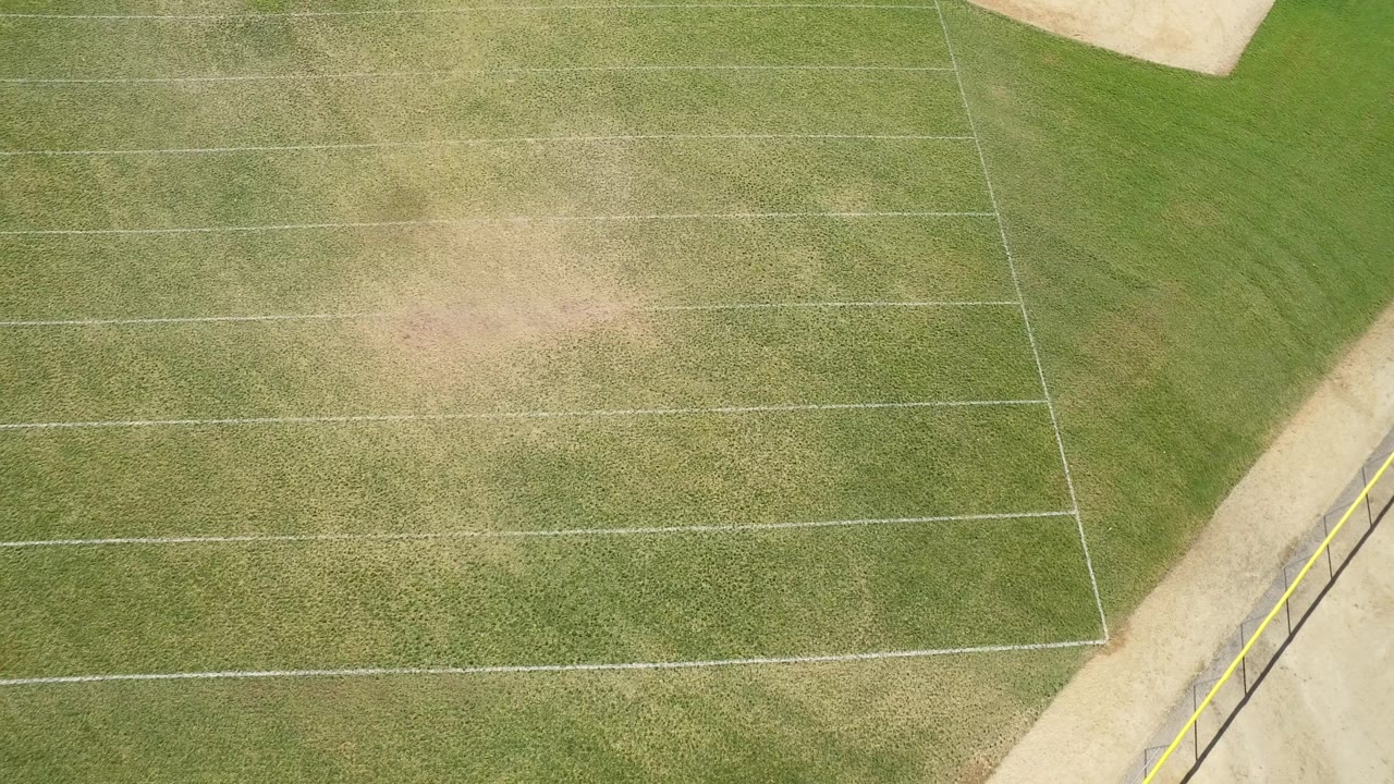 Top-down field markings beside a concrete walkway