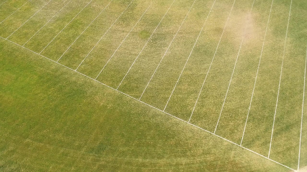 Aerial view of green mowed grass with white sports field lines.