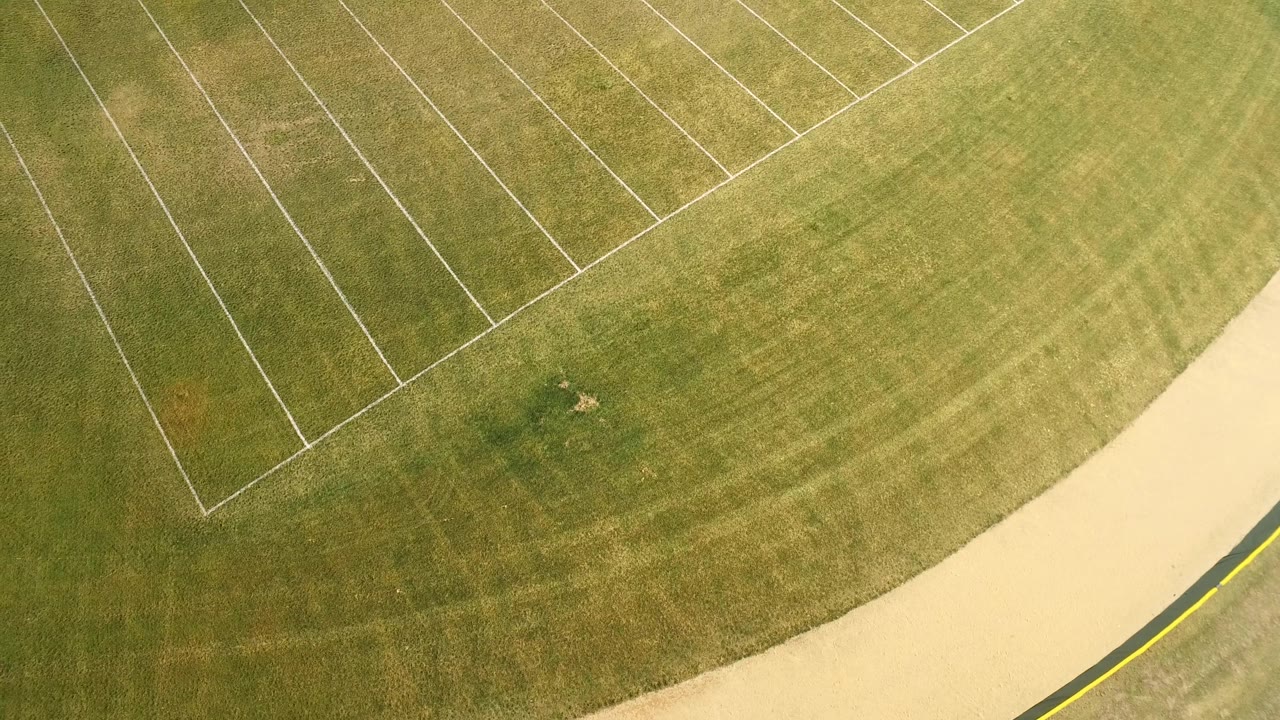 Green field seen from above with a pale road at the right edge