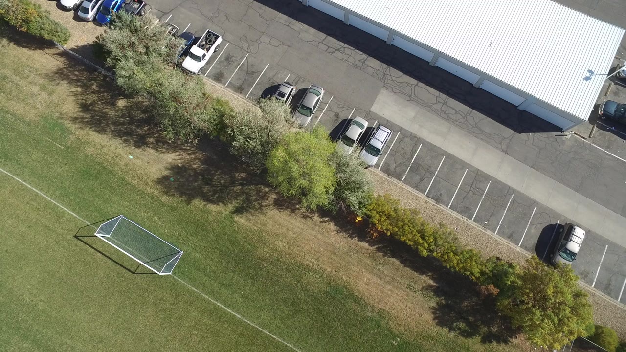 Overhead view of a grass field, small goal, trees, parked cars, and a white-roofed building edge.