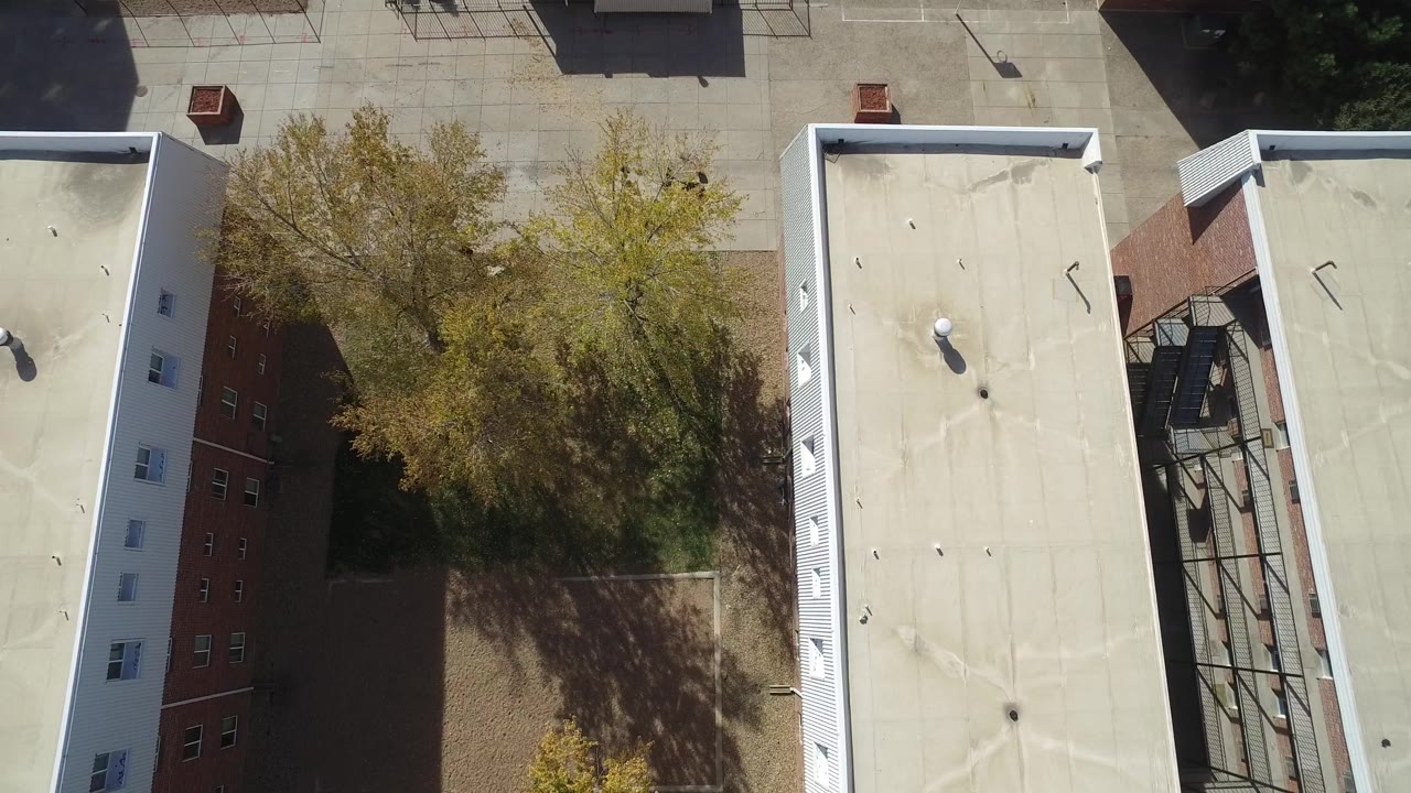 Top-down view of a rooftop edge, trees, brick building side, and paved courtyard area.