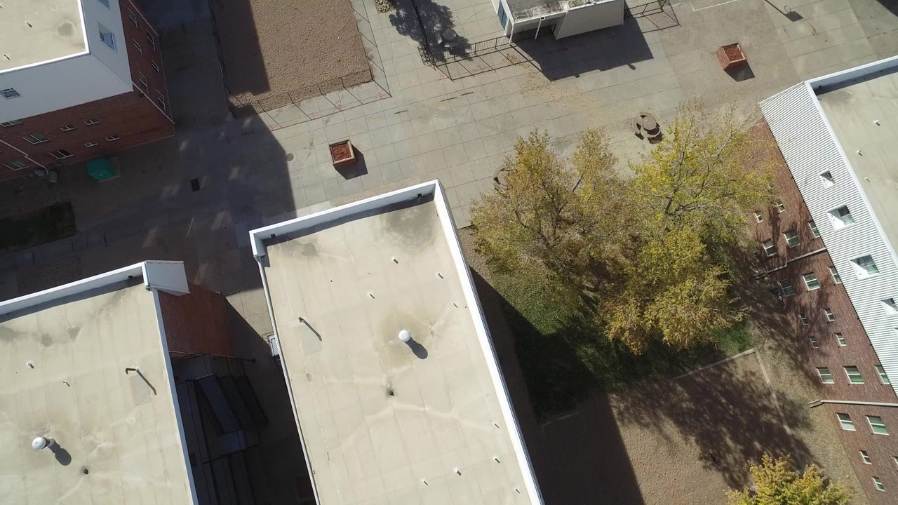 Overhead view of flat rooftops, paved areas, and trees