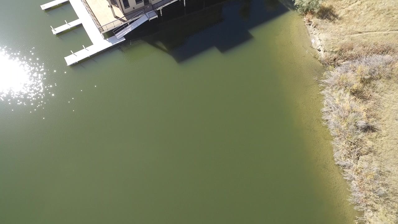 Overhead frame in Hidden Lake, Colorado showing green water, a dock and deck at the top edge, dry shoreline brush on the right, bright sun reflection on the left, and no visible people.