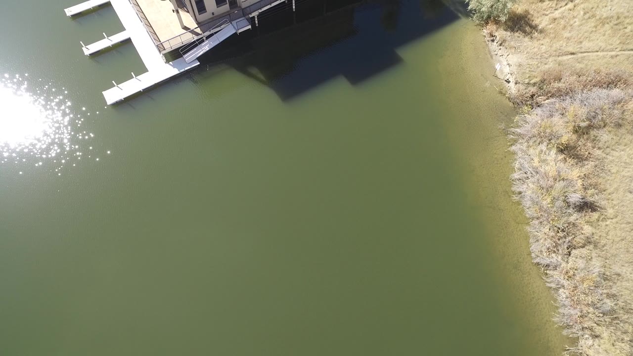 Top-down lake edge with dock, deck, and shoreline vegetation