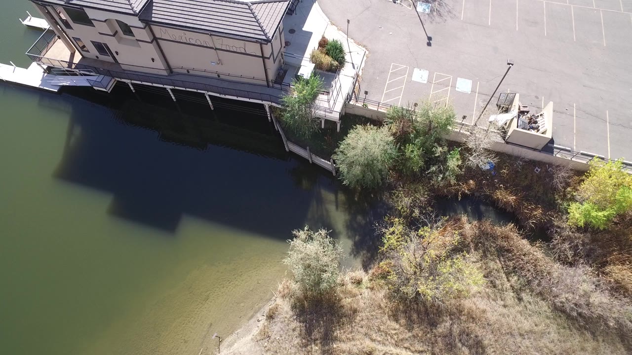 Overhead view of green lake water, shoreline brush, building shadow, and parking lot.