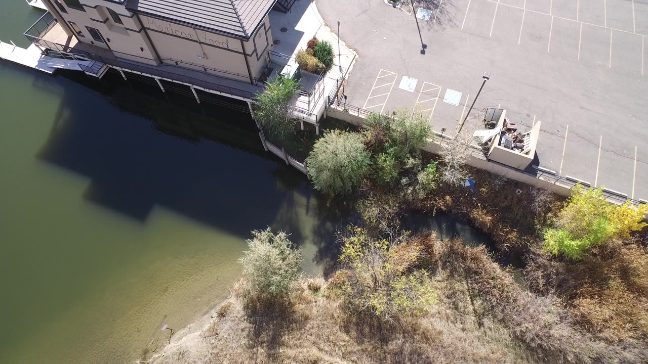 Drone view of green water, shoreline brush, parking lot, and building corner.