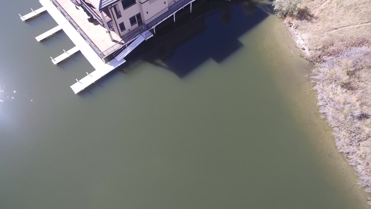 Overhead view of green lake water beside a dock and brushy shoreline.