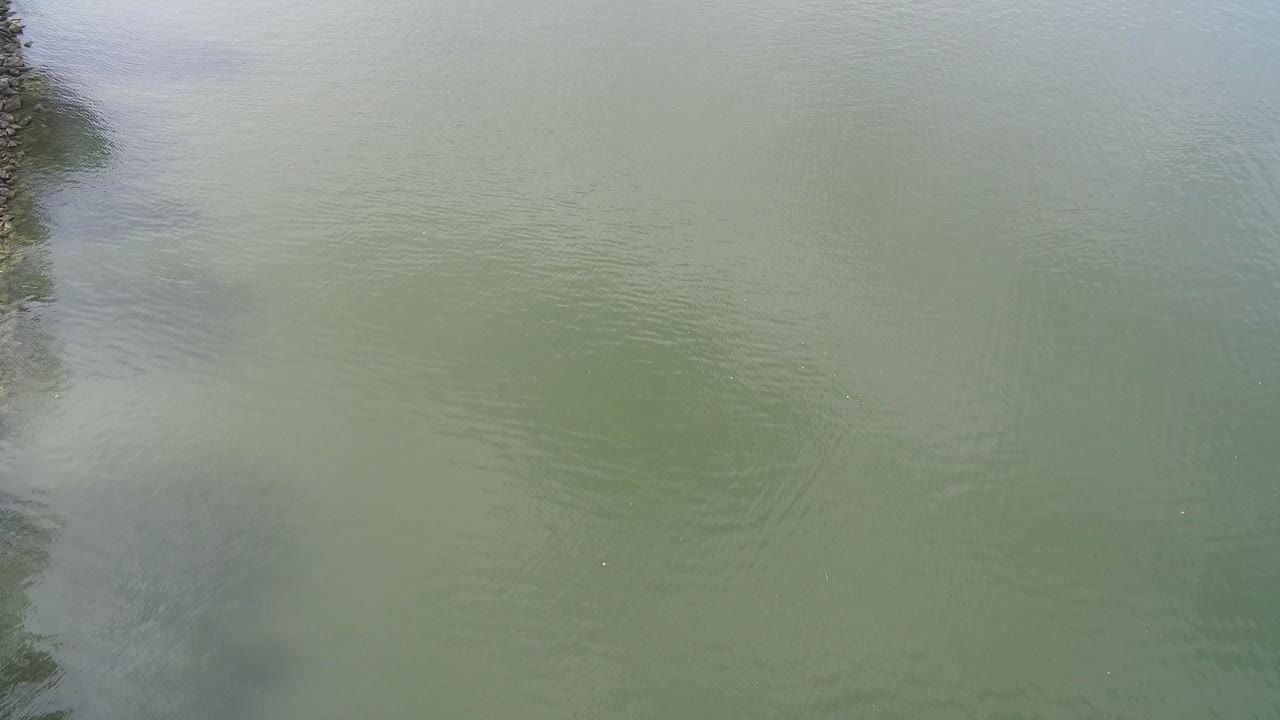 Pale green water at Hidden Lake, Colorado shows small ripples and dark tree reflections along the left edge, with no visible people.