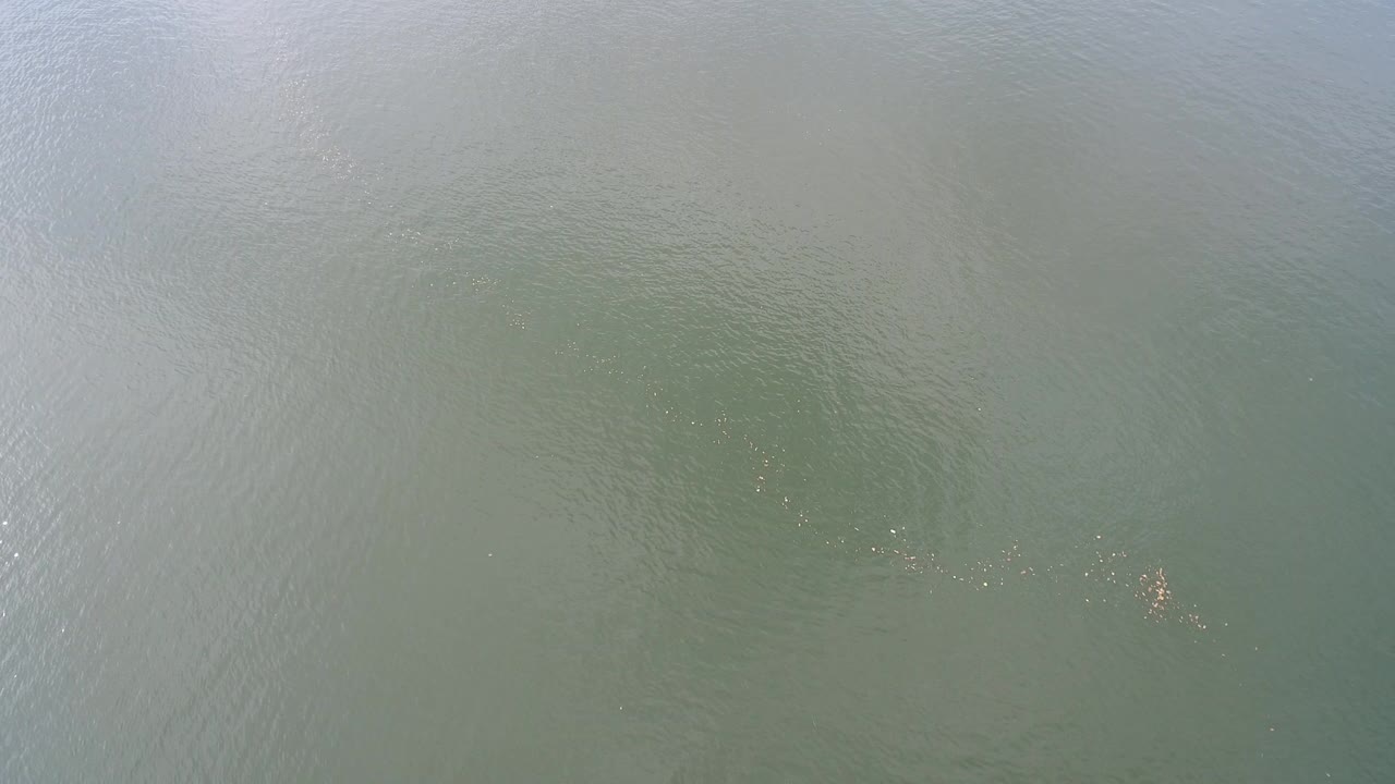 Overhead view of green-gray water in Hidden Lake, Colorado, with soft reflected light and no visible people.