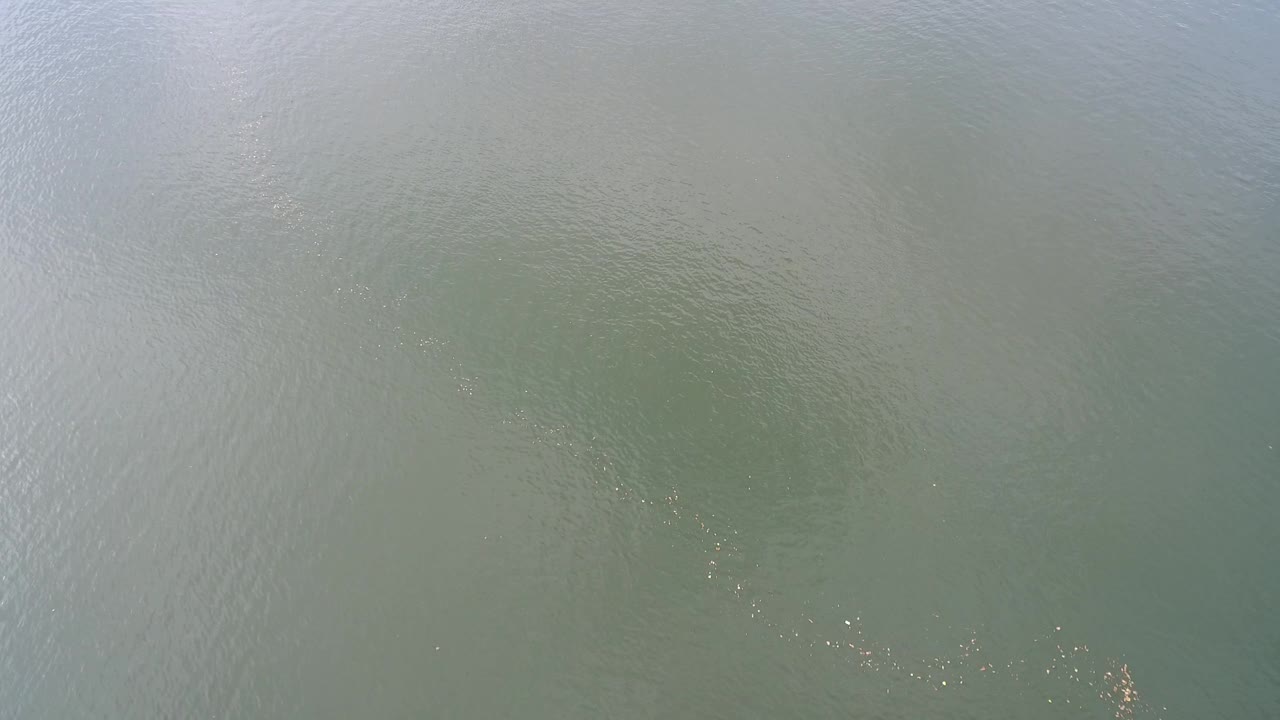 Top-down water surface with pale reflection