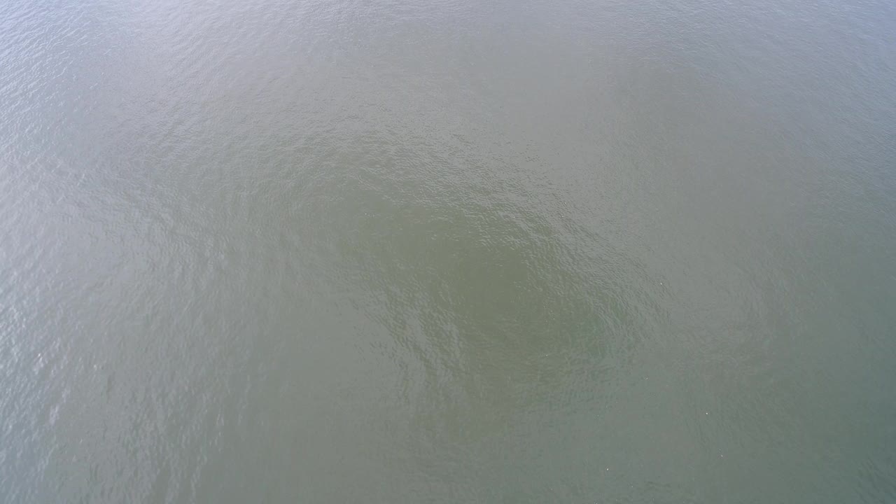 Overhead view of muted green-gray lake water with soft ripples.