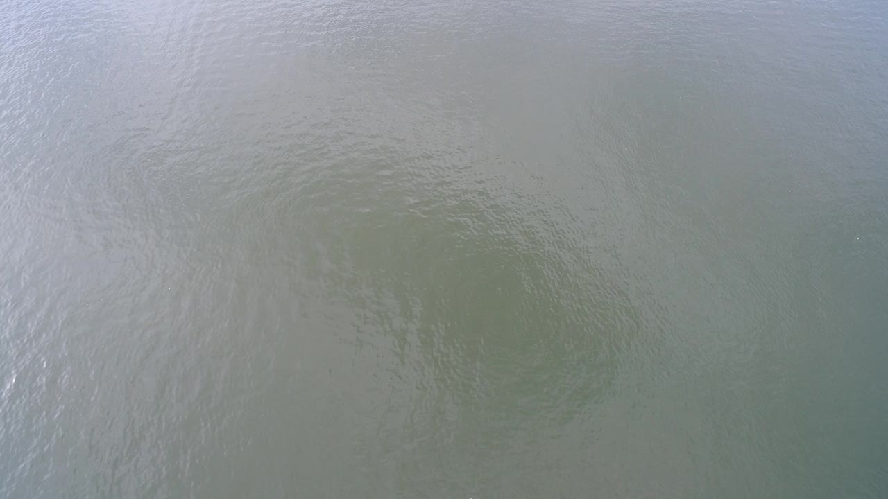 Pale green-blue rippled water fills the frame.