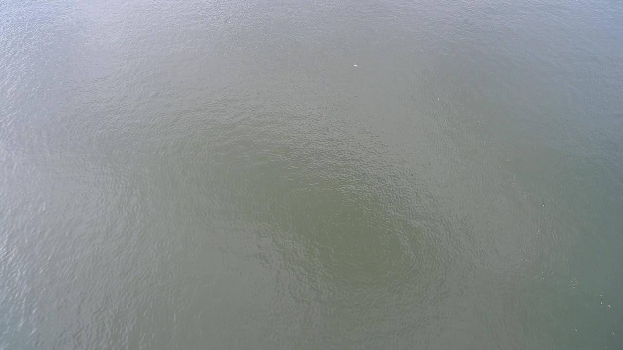 Close overhead view of rippling green water.
