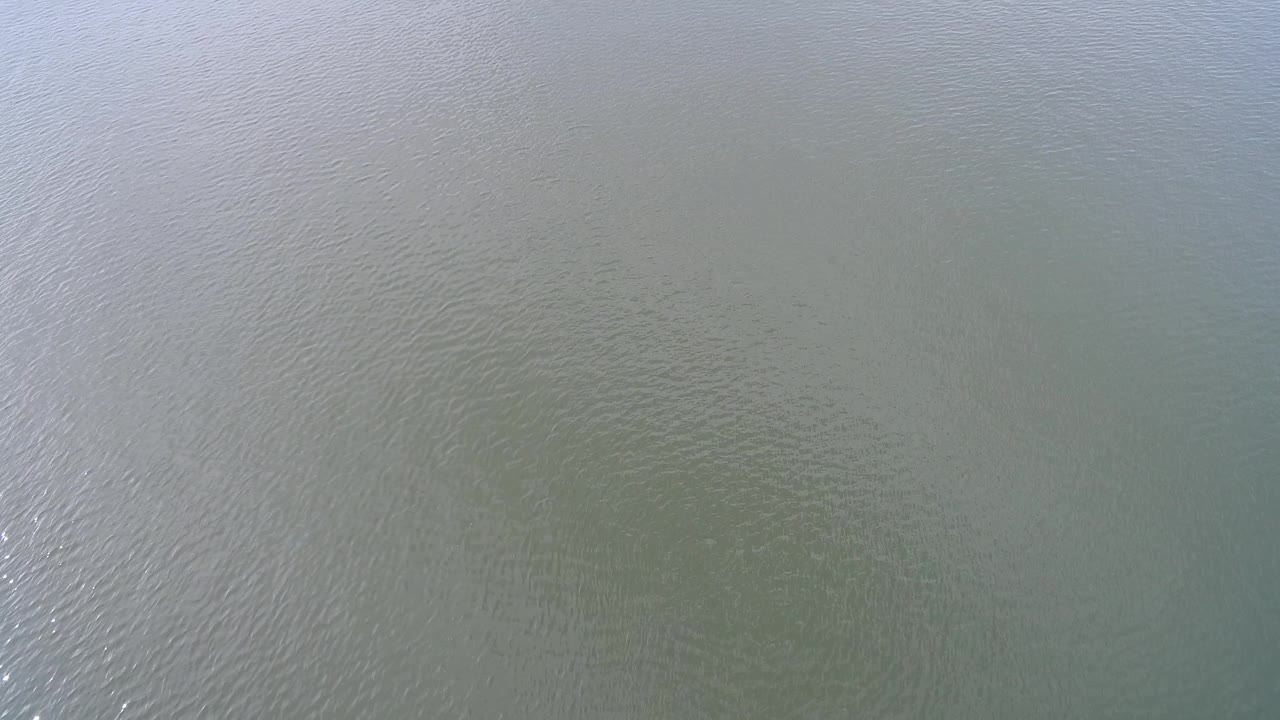 Subtle current patterns across green-brown water