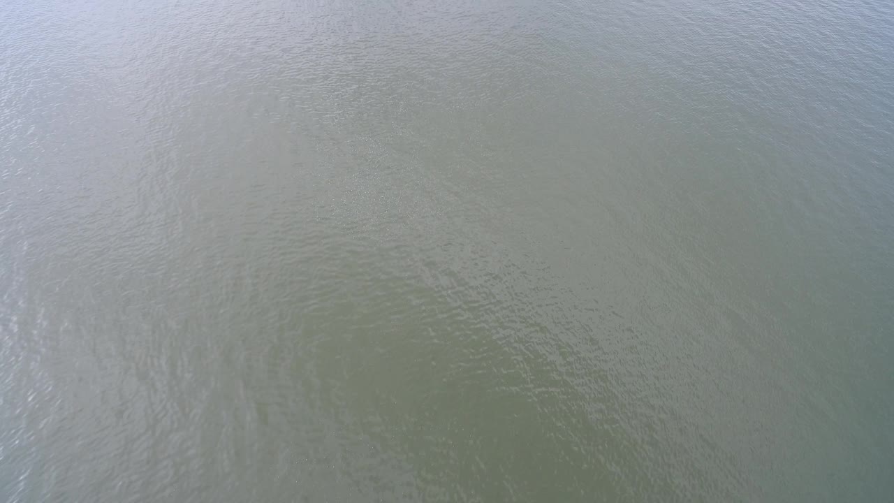 Gray murky water surface seen from above.
