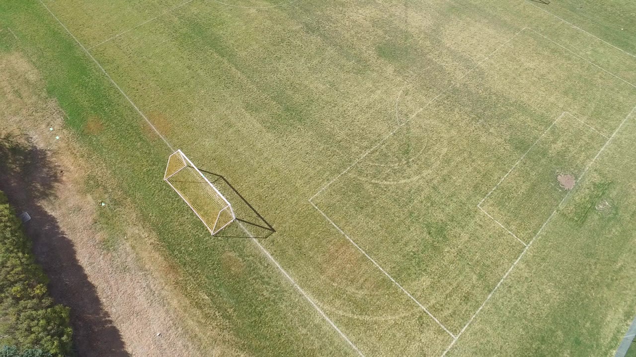 Overhead view of a grass soccer field with a goal and white markings.